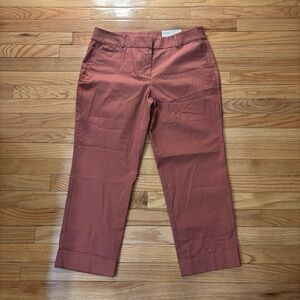 Ann Taylor Factory NWT The Crop Pants Midrise Slim Leg - Size 10